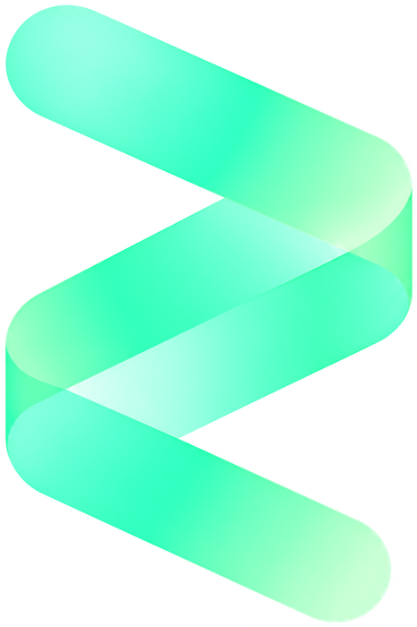 Zetus