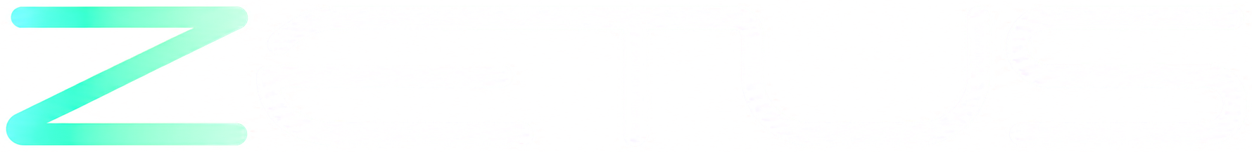 ZETUS