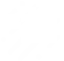 Zetus